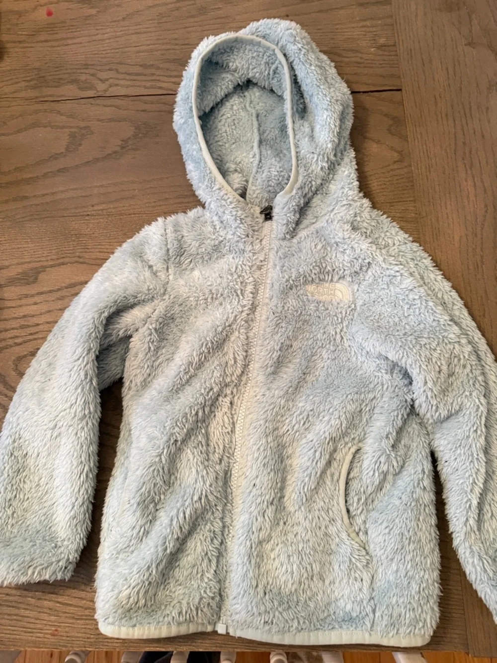 The North Face Kids Light Blue Plush Zip Hoodie